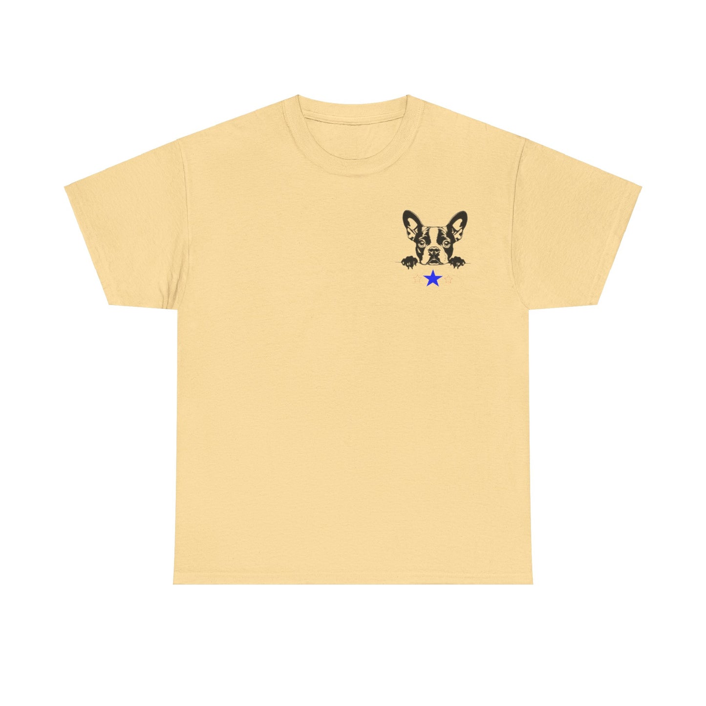 Unisex Heavy Cotton Tee Boston2024