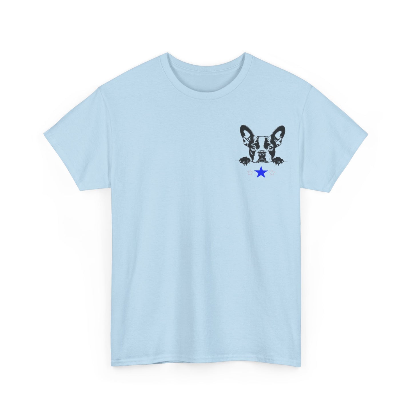 Unisex Heavy Cotton Tee Boston2024