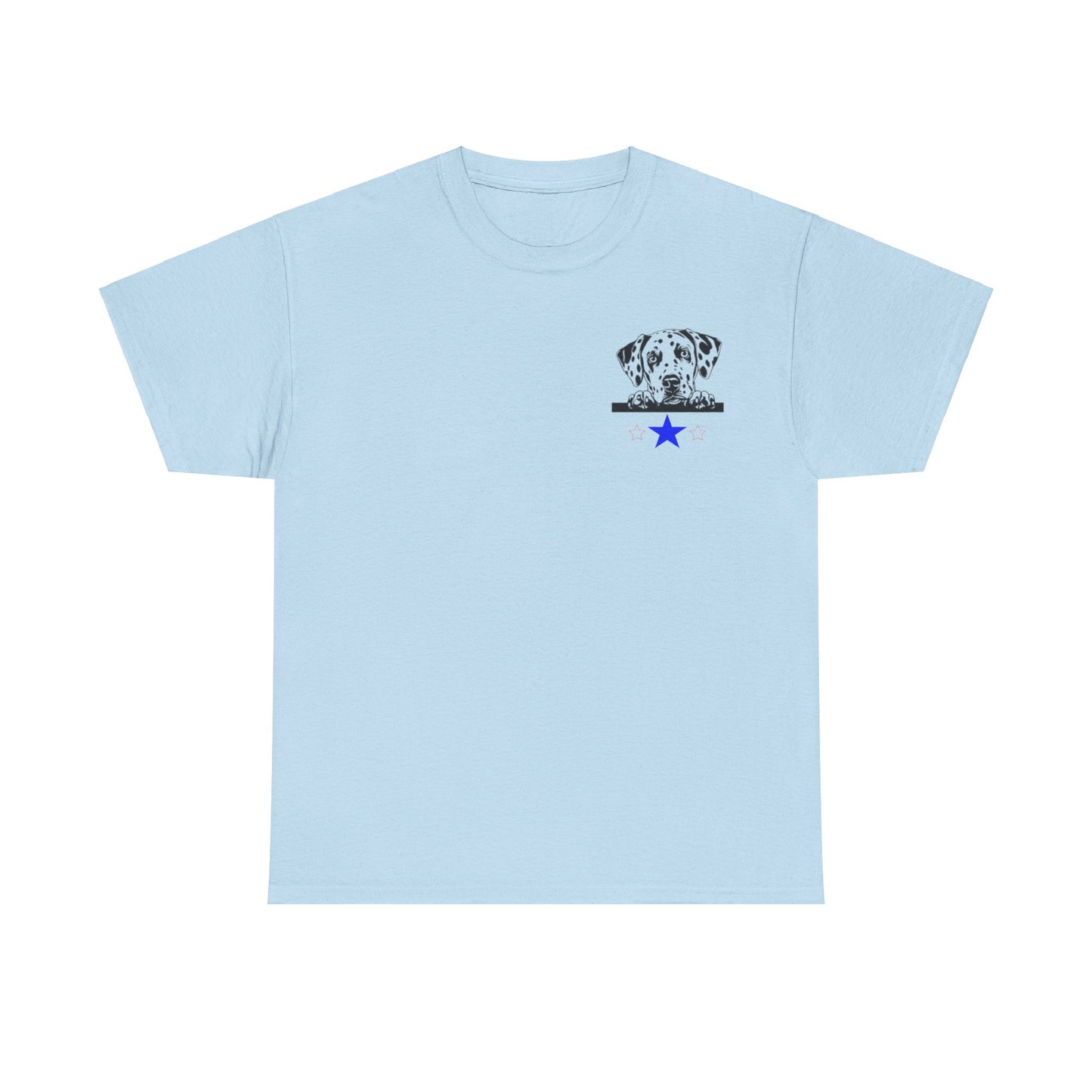 Unisex Heavy Cotton Tee SiSi2024