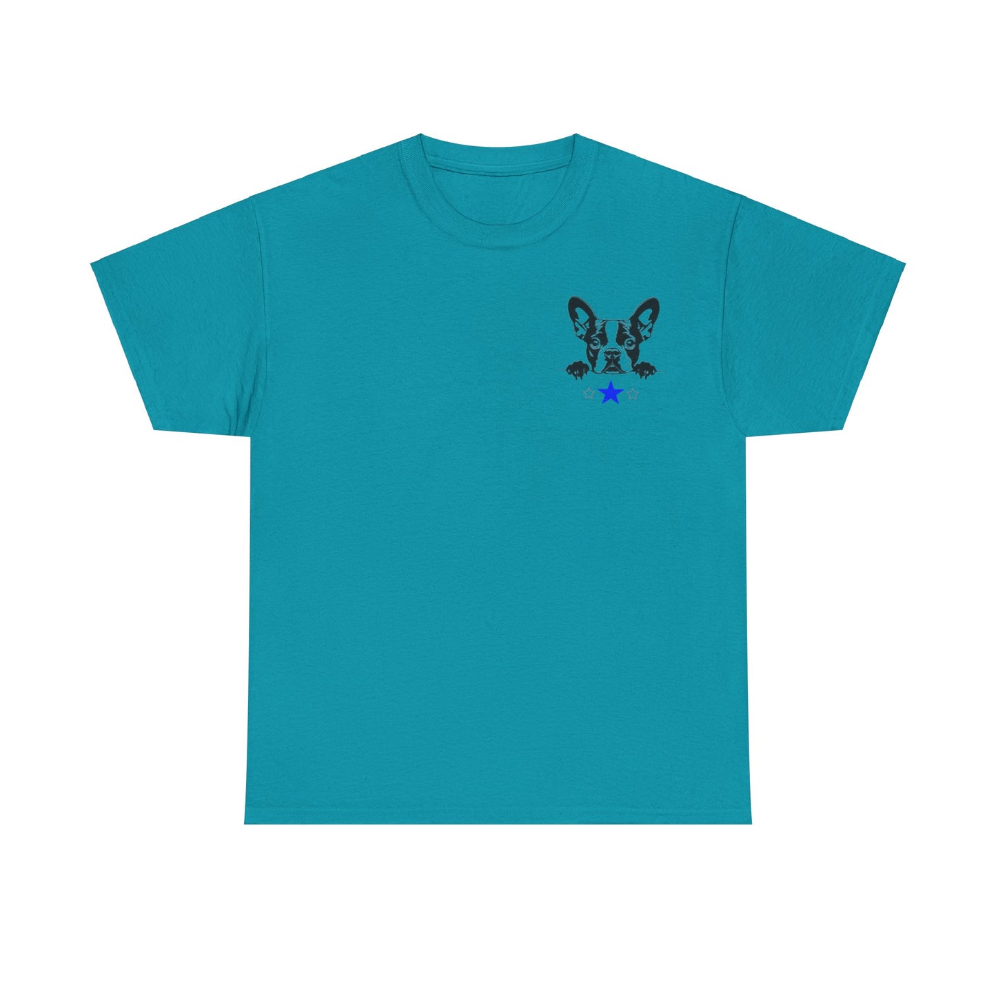 Unisex Heavy Cotton Tee Boston2024