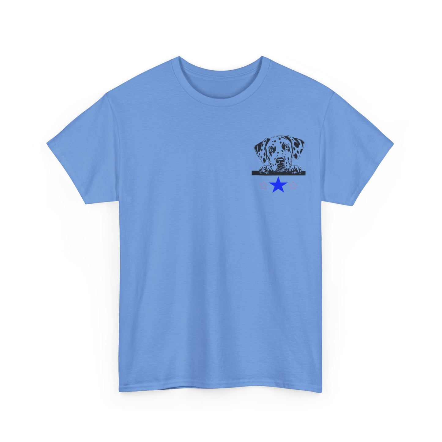 Unisex Heavy Cotton Tee SiSi2024