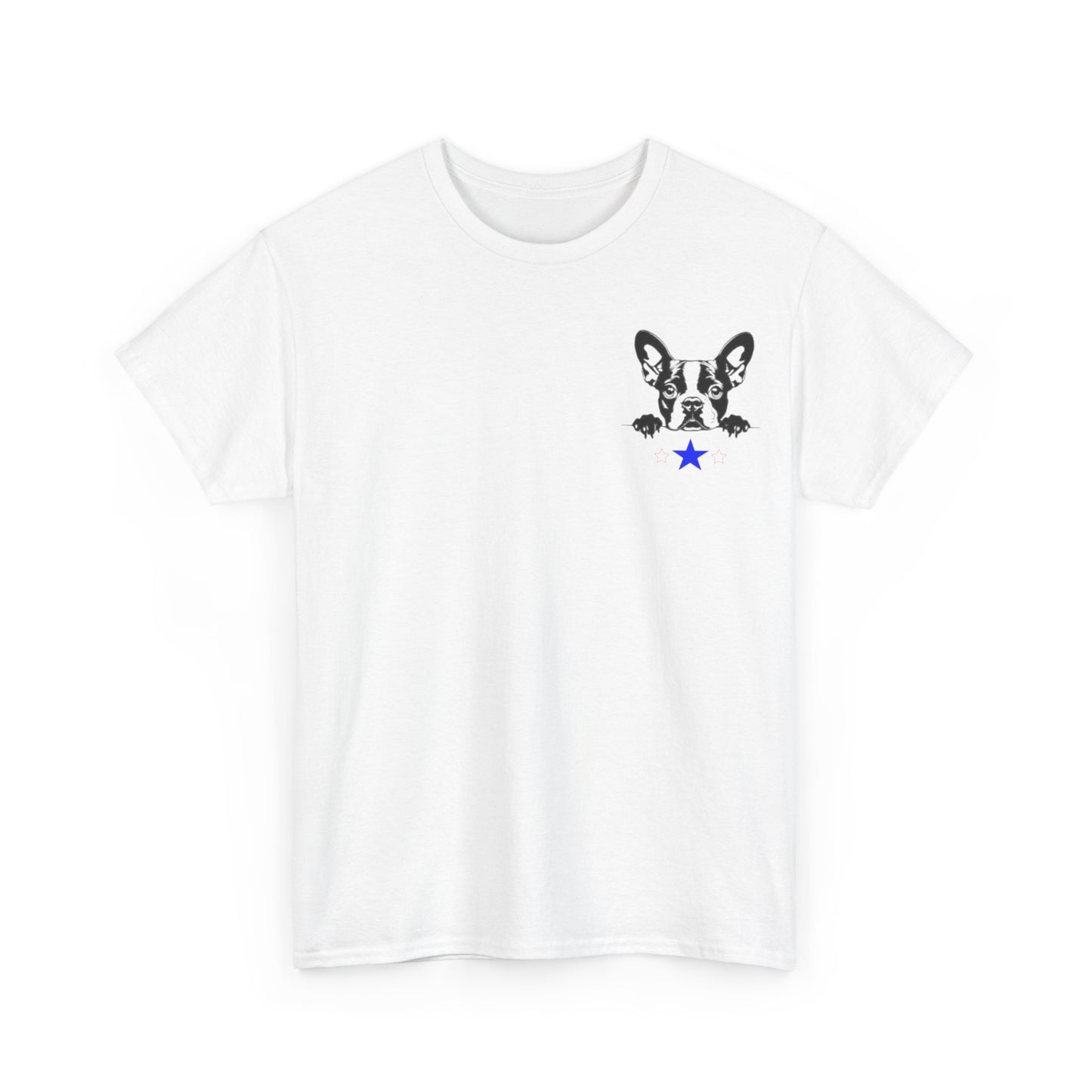 Unisex Heavy Cotton Tee Boston2024