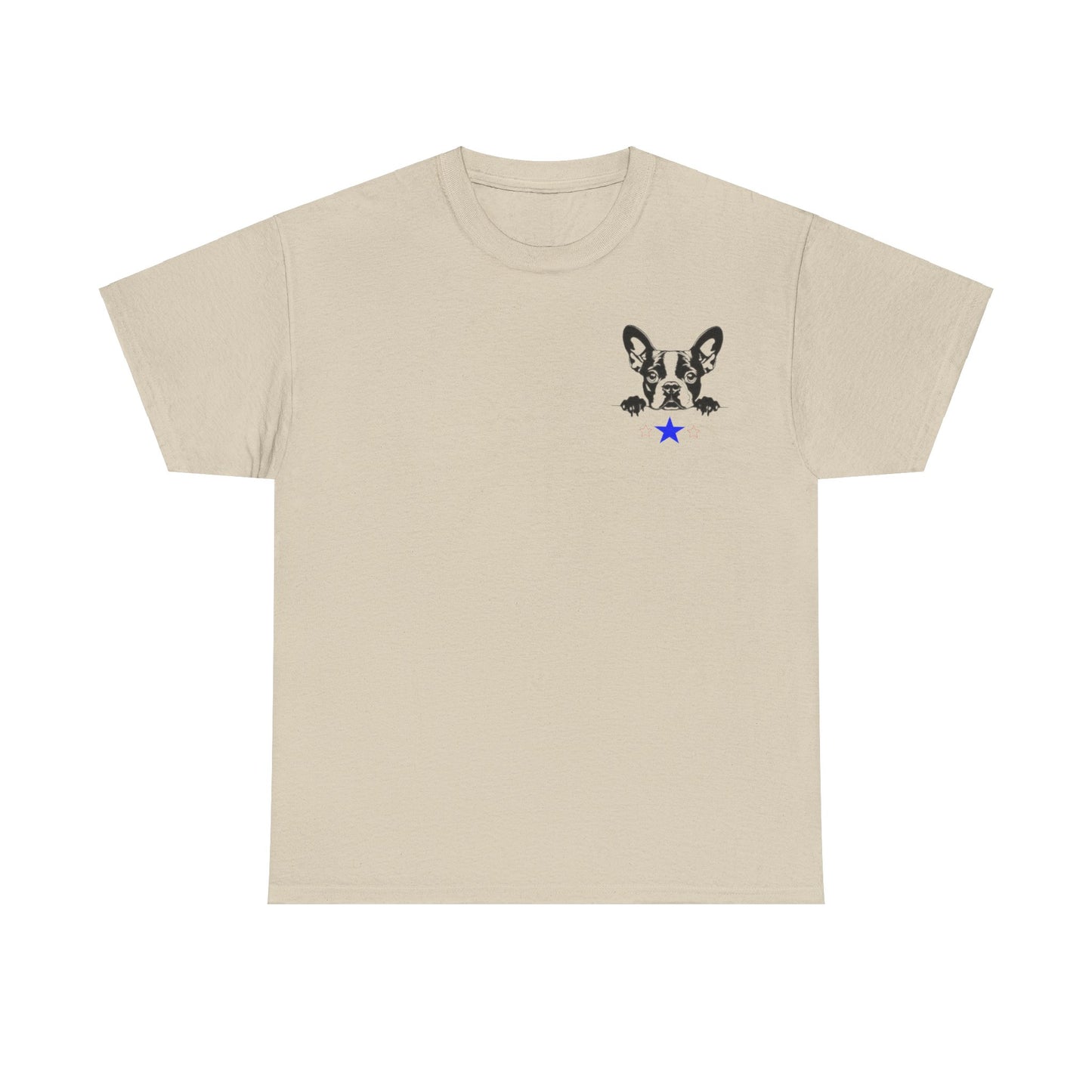 Unisex Heavy Cotton Tee Boston2024