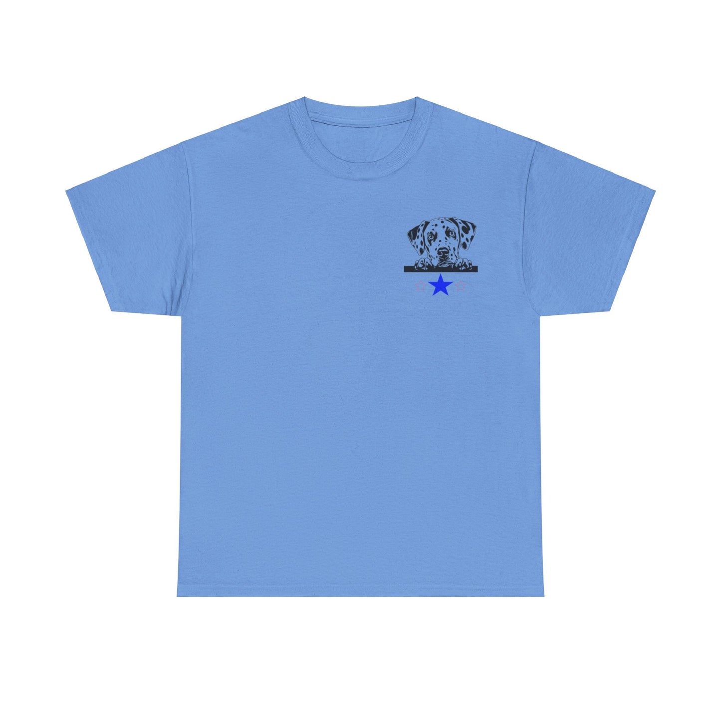 Unisex Heavy Cotton Tee SiSi2024