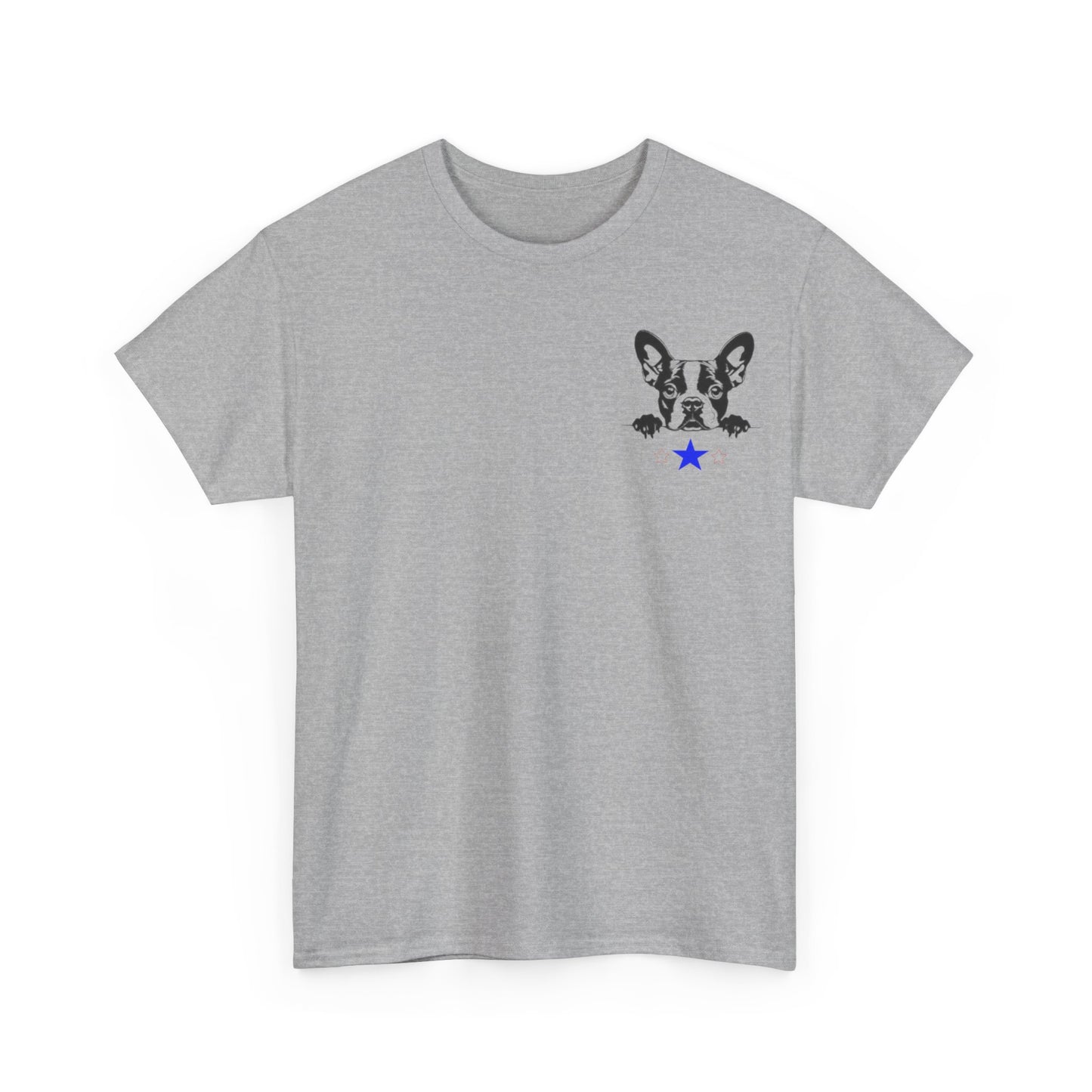 Unisex Heavy Cotton Tee Boston2024