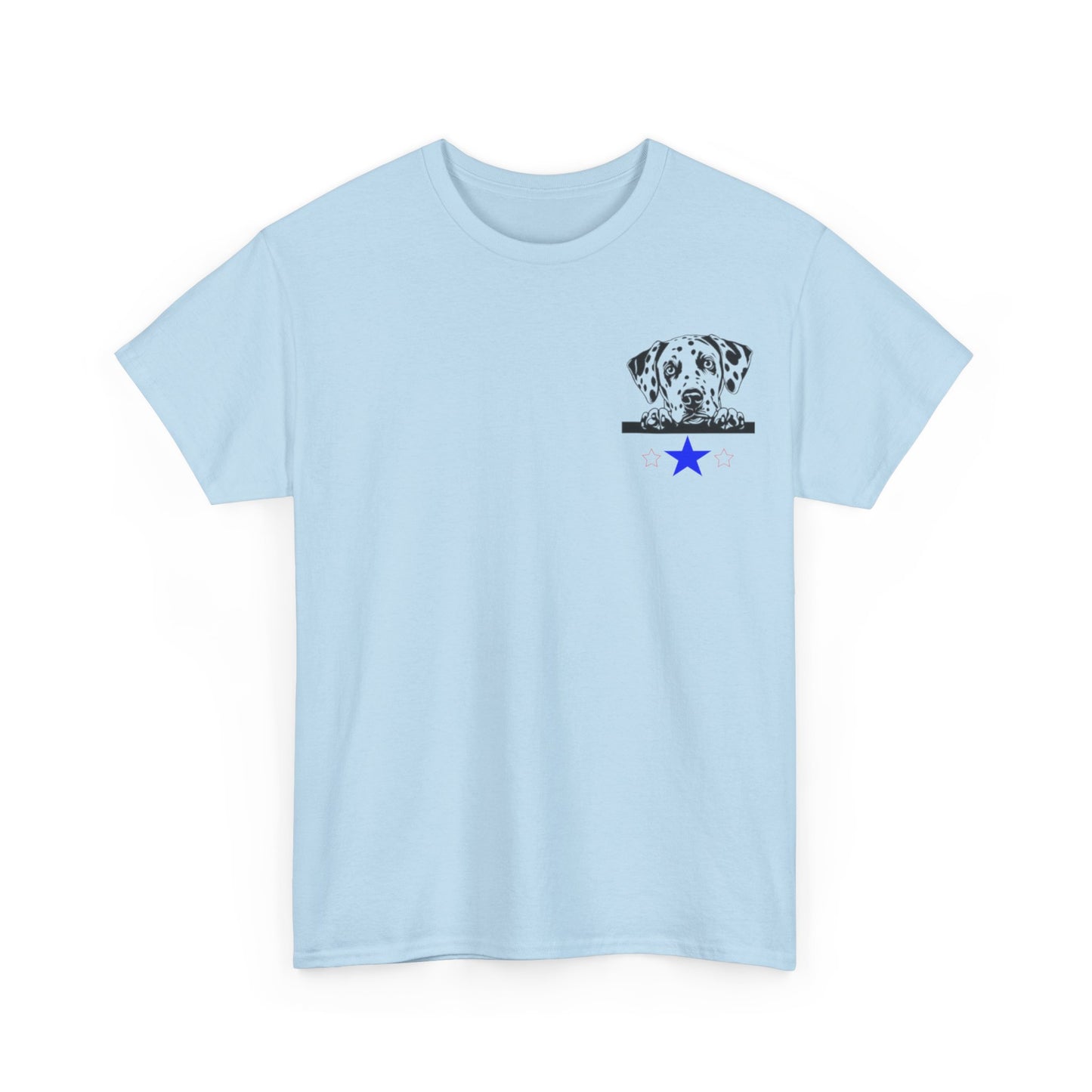 Unisex Heavy Cotton Tee SiSi2024