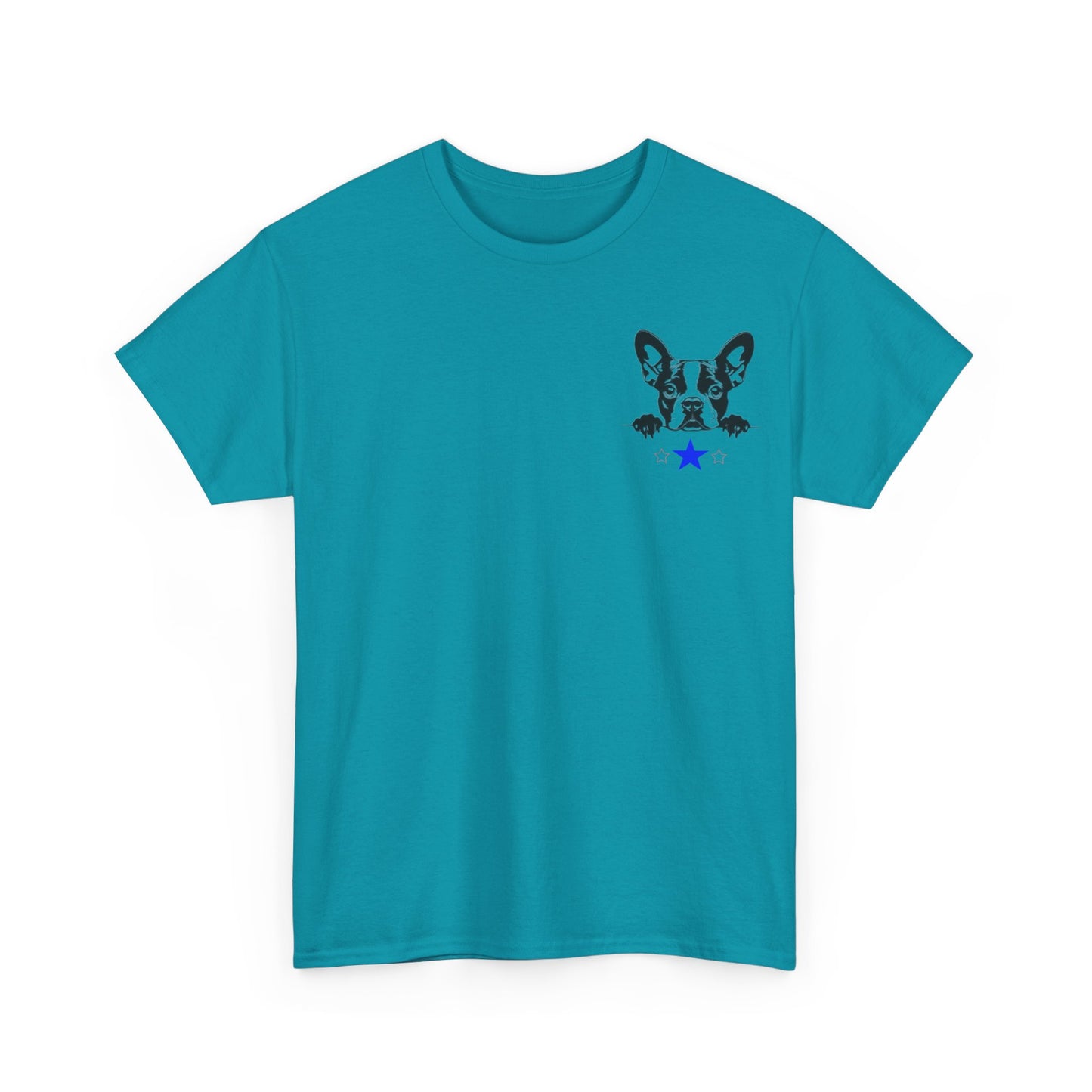 Unisex Heavy Cotton Tee Boston2024