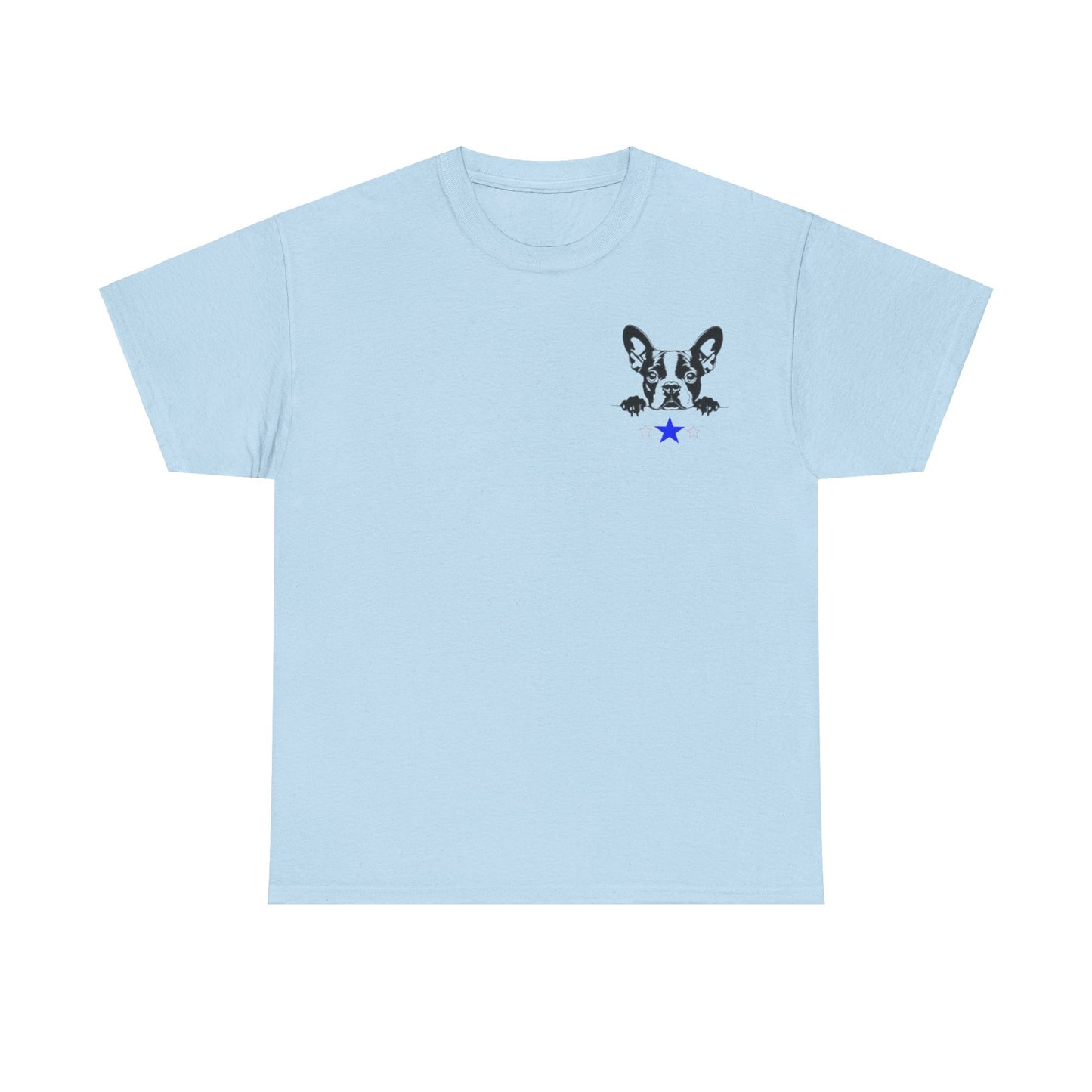 Unisex Heavy Cotton Tee Boston2024