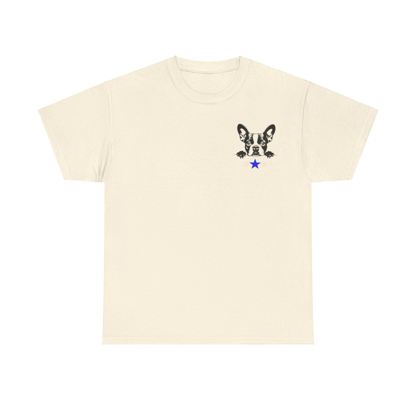 Unisex Heavy Cotton Tee Boston2024