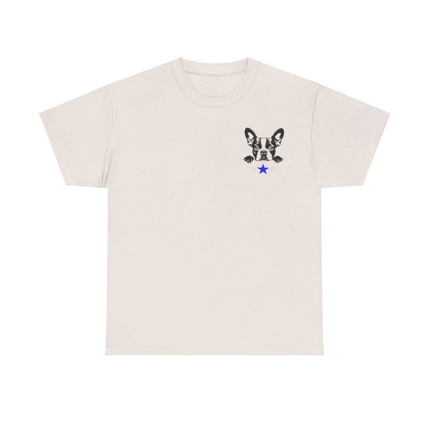 Unisex Heavy Cotton Tee Boston2024